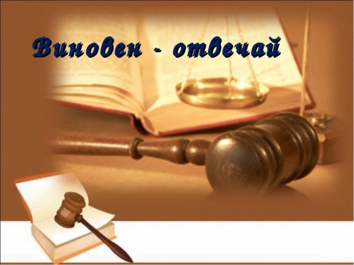 виновен отвечай